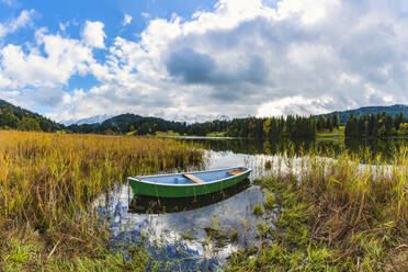 Rowboat floating in grassy shore of Geroldsee lake - WGF01378