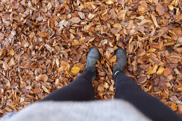 Woman standing on autumn leaves in Cannock Chase woodland - WPEF03687