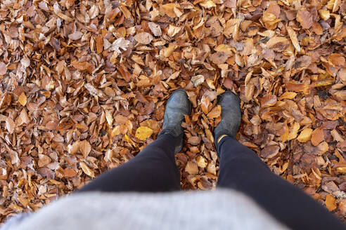 Woman standing on autumn leaves in Cannock Chase woodland - WPEF03687