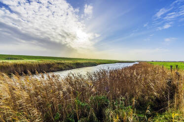 Canal in grassy field at sunset - THAF02950