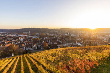 Deutschland, Baden-Württemberg, Esslingen, Weinberge und Stadt im Herbst bei Sonnenuntergang - WDF06403