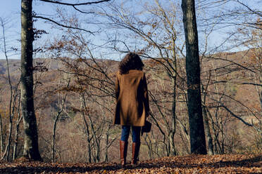 Frau schaut im Wald stehend auf einen Berg - FMOF01294