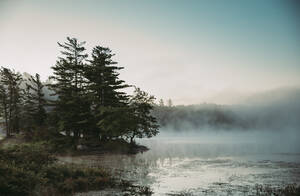 Morgens aufsteigender Nebel über einem See in Ontario, Kanada. - CAVF90652