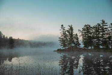 Morgens aufsteigender Nebel über einem See in Ontario, Kanada. - CAVF90653