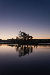 Silhouette von Bäumen auf einer Insel in einem See in Ontario bei Sonnenaufgang. - CAVF90654