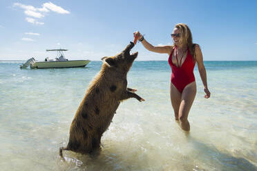 Fröhliche junge Frau, die ein Schwein am Strand mit Möhren füttert - CAVF90769