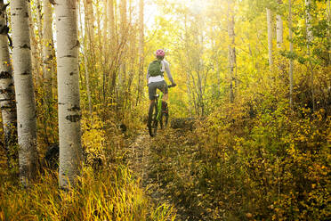 Rückansicht einer Frau beim Mountainbiking inmitten von Bäumen im Wald im Herbst - CAVF90781