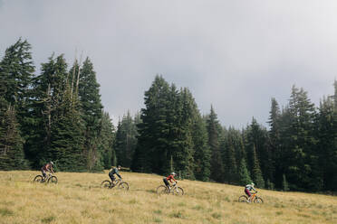 Vier Biker fahren durch eine Wiese am Mt. Hood, Oregon - CAVF90838