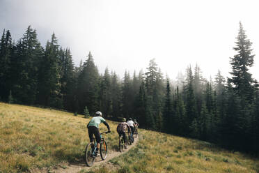 Four bikers ride through a meadow at Mt. Hood, Oregon - CAVF90839