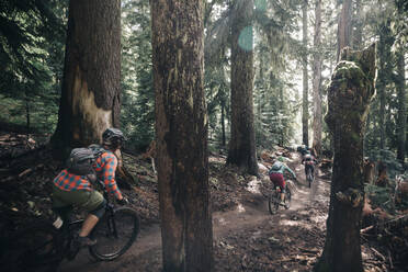Four bikers ride through the forest at Mt. Hood, Oregon. - CAVF90842