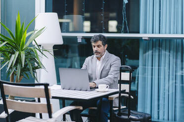 Älterer Geschäftsmann, der einen Laptop benutzt, während er mit einem Getränk im Café sitzt - DGOF01775