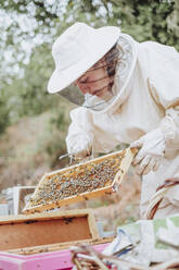 Junge Imkerin bei der Arbeit in der Natur - CAVF91073