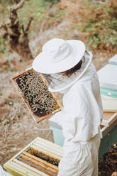 Junge Imkerin bei der Arbeit in der Natur - CAVF91074