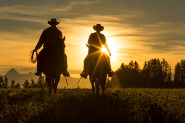 Zwei Cowboys reiten in den Sonnenuntergang über eine Wiese mit Bergen dahinter, Britisch-Kolumbien, Kanada. - MINF15358