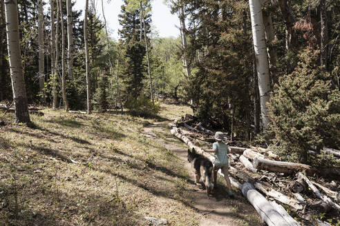 7-jähriger Junge geht mit seinem Hund im Espenwald spazieren - MINF15387