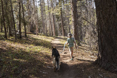 7 year old boy walking his dog in forest of Aspen trees - MINF15389