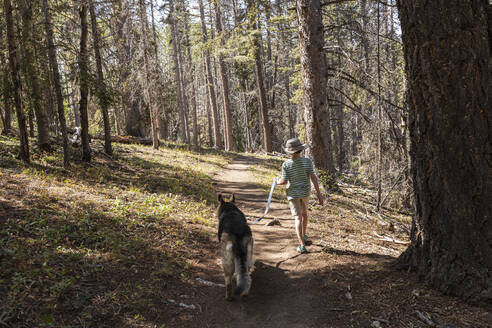 7-jähriger Junge geht mit seinem Hund im Espenwald spazieren - MINF15389