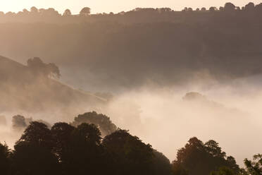 Morgennebel über einem Tal, Felder und Bäume im Winter - MINF15404