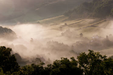 Morgennebel über einem Tal, Felder und Bäume im Winter - MINF15405