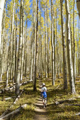 Young boy walking on autumn aspen nature trail - MINF15429