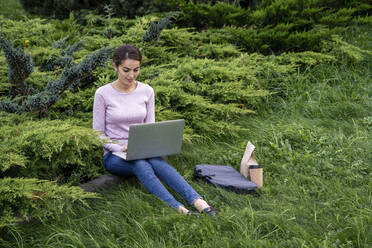 Junge Unternehmerin mit Laptop im Park sitzend - VPIF03271