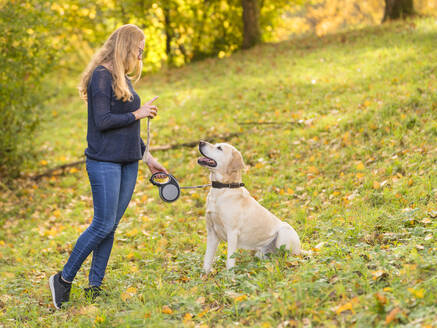 Junge Frau mit Hund im Park im Herbst - STSF02685