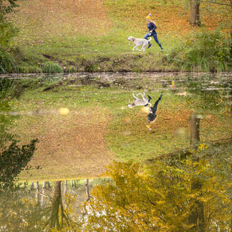 Reflektion von Frau und Hund, die im Herbst im Park laufen - STSF02687