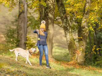 Young woman holding dog's toy while playing with Labrador Retriever during autumn in park - STSF02688