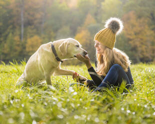 Lächelnde Frau spielt mit Hund im Park während der Herbstsaison - STSF02690