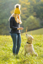 Young woman with dog in park during sunny day - STSF02693