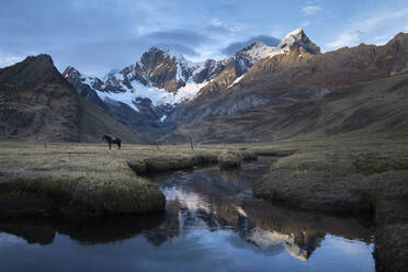 Die Berge spiegeln sich auf dem Wasser der Lagune Mitucocha in Huayhuash - CAVF91124