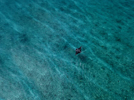 Mantarochen schwimmen im türkisfarbenen Meer auf den Malediven - KNTF05949