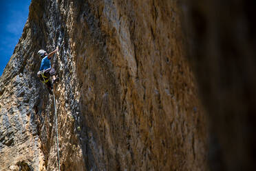 Little climber in the extreme of the shot - CAVF91244