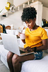 Focused young African American female freelancer with cup of coffee in hand sitting on sofa and browsing laptop while working remotely on project at home - ADSF18180