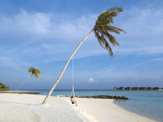 Woman swinging on rope against sea at beach, Bali - KNTF06010