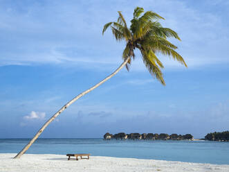 Idyllic beach against blue sky, Bali - KNTF06011