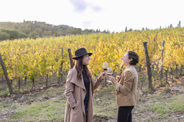Cheerful female colleagues toasting wineglass while standing in vineyard during autumn - EIF00353