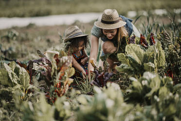 Female farm worker working while crouching by daughter at farm - MJRF00288