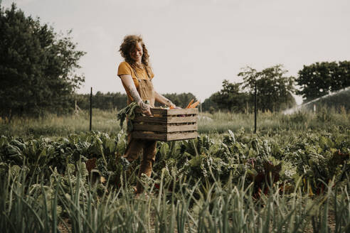 Lächelnder Bauer sammelt Gemüse in einem Korb, während er auf dem Bauernhof steht - MJRF00298