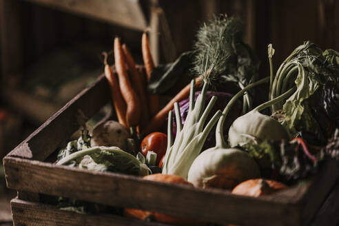 Close-up of fresh and organic vegetables in box - MJRF00310