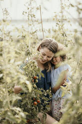 Woman checking crops while sitting with daughter at farm - MJRF00317