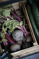Beetroots and cucumber in retail display box - MJRF00341