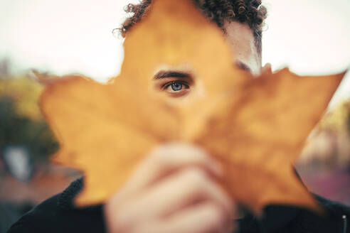 Young man looking through hole on maple leaf - ACPF00936