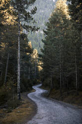 Weg inmitten des Waldes im Herbst Huseca, Spanien - ACPF00949