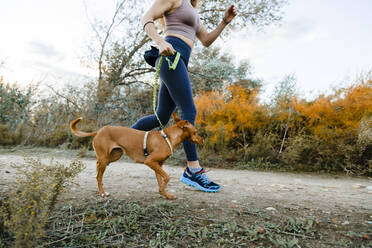 Frau läuft mit ihrem Hund im Canicross-Stil auf dem Lande - MRRF00711