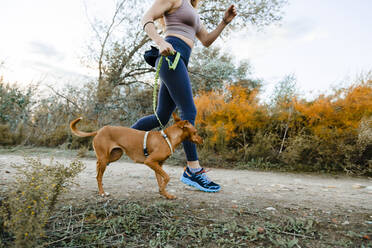 Woman running with her dog in canicross style at countryside - MRRF00711