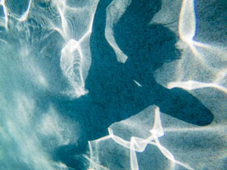 Schatten eines Tween Girl in einem Schwimmbad in Indialantic, FL - CAVF91303
