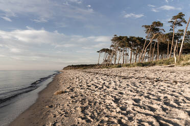 Landschaftlicher Blick auf den Strand gegen den Himmel bei Sonnenuntergang in Mecklenburg, Fischland-Darß-Zingst, Deutschland - CHPF00718