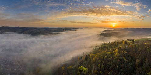 Drone view of autumn forest shrouded in thick fog at sunrise - STSF02695