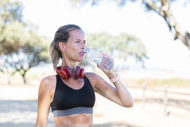 Ruhige Sportlerin im Sport-BH und mit Kopfhörern, die frisches Wasser aus einer Flasche trinkt, während sie sich nach dem Training an einem sonnigen Tag entspannt und wegschaut - ADSF18678